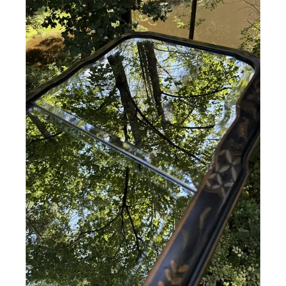 Friedman Brothers Chinoiserie Williamsburg Mirror Black Frame Beveled 2 Plate 48